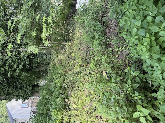 72 School St, Norwich, CT 06360 - view of undeveloped land