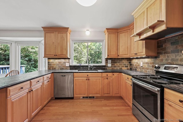 267 Jagger Ln, Hebron, CT 06248 - kitchen featuring stainless steel appliances, light wood-style floors, plenty of natural light, and backsplash