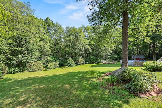 267 Jagger Ln, Hebron, CT 06248 - view of grassy yard with a storage unit and a view of trees