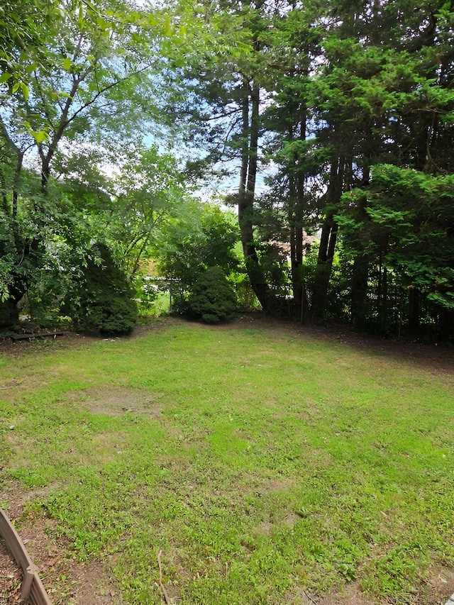 181 Plank Rd, Waterbury, CT 06705 - view of green lawn