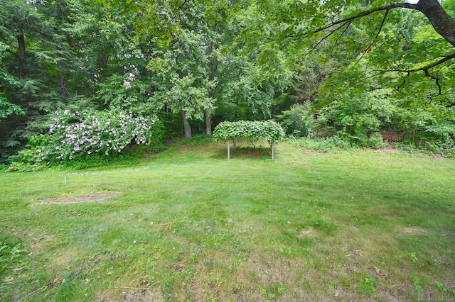 84 Stevens Ln, Glastonbury, CT 06033 - photo 7