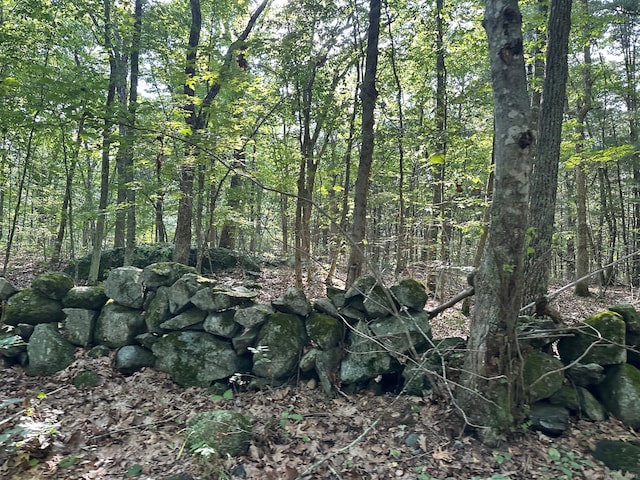 Swantown Hill Rd, North Stonington, CT 06359