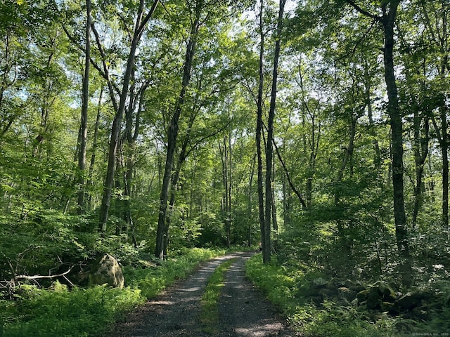 Swantown Hill Rd, North Stonington, CT 06359