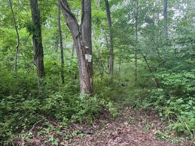 Swantown Hill Rd, North Stonington, CT 06359