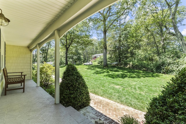 19 Buttercup Ln, Shelton, CT 06484 - view of grassy yard with covered porch