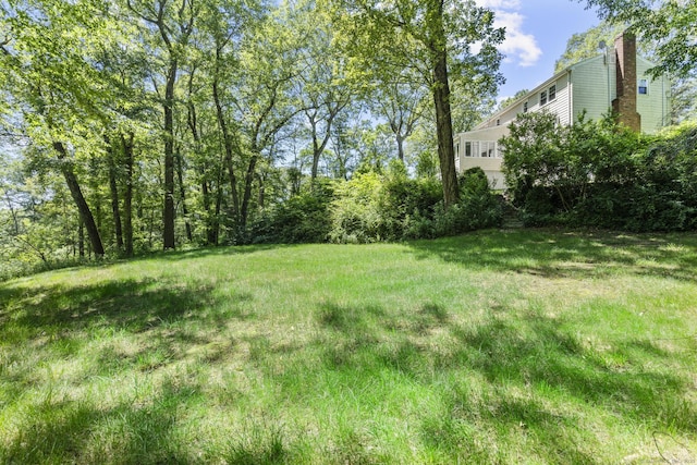 19 Buttercup Ln, Shelton, CT 06484 - view of yard