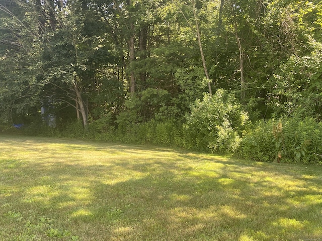 230 White Oak Way, Torrington, CT 06790 - view of green lawn with a forest view