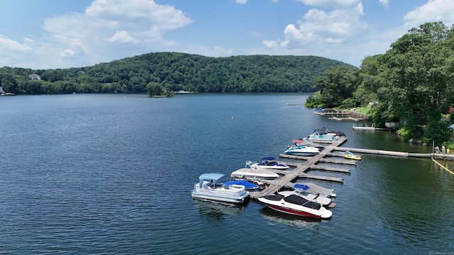 15 Wondy Way, Danbury, CT 06811 - water view featuring a forest and a boat dock