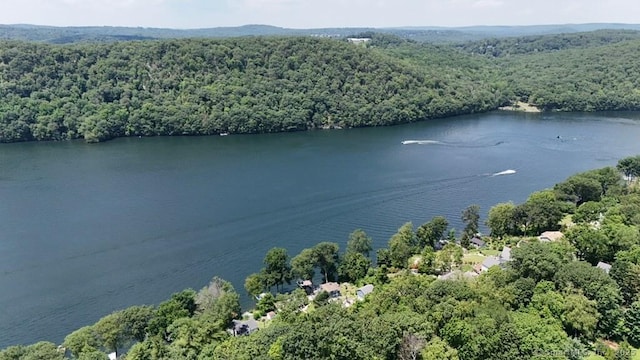 15 Wondy Way, Danbury, CT 06811 - bird's eye view of a forest and a nearby body of water