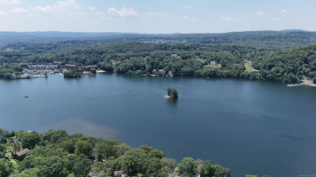 15 Wondy Way, Danbury, CT 06811 - aerial view of a heavily wooded area and a nearby body of water