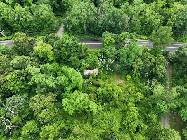 77 Cheshire Rd, Bethany, CT 06524 - photo 3