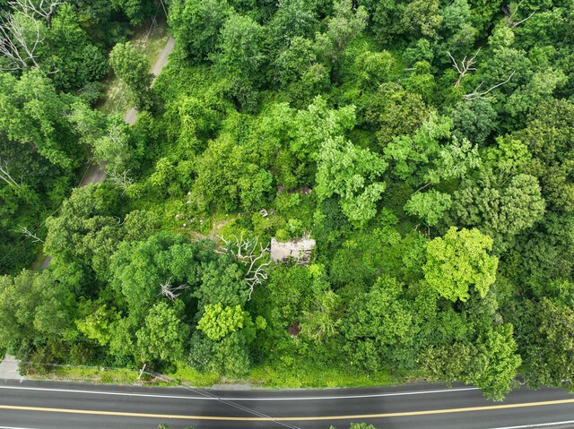 77 Cheshire Rd, Bethany, CT 06524 - photo 5