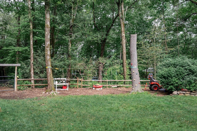 81 Burwell Rd, New Hartford, CT 06057 - view of yard