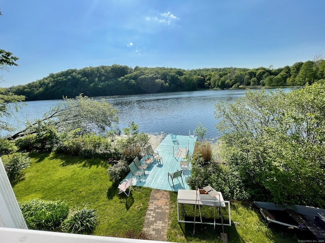 203 Twin Lakes Rd, North Branford, CT 06471 - photo 14