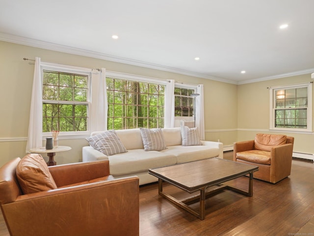 11 Dundee Rd, Stamford, CT 06903 - living room with a baseboard heating unit, ornamental molding, dark wood-type flooring, recessed lighting, and baseboard heating