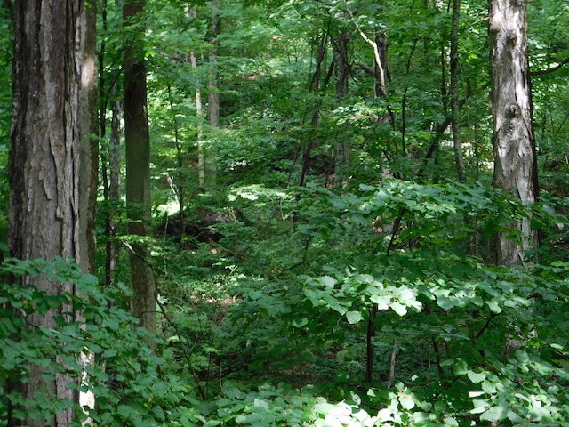 163 White Hollow Rd, Salisbury, CT 06039 - photo 15