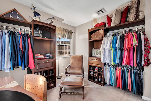 9 Anton Ln, Berlin, CT 06037 - spacious closet with carpet flooring