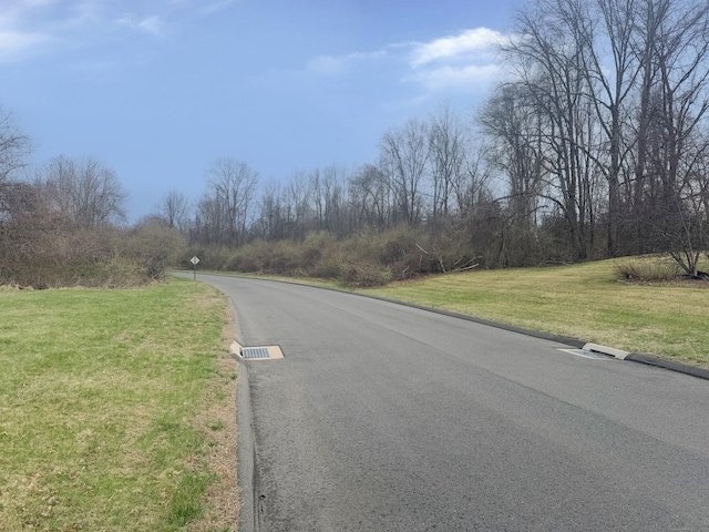39 Ridge Blvd, East Granby, CT 06026 - view of asphalt road