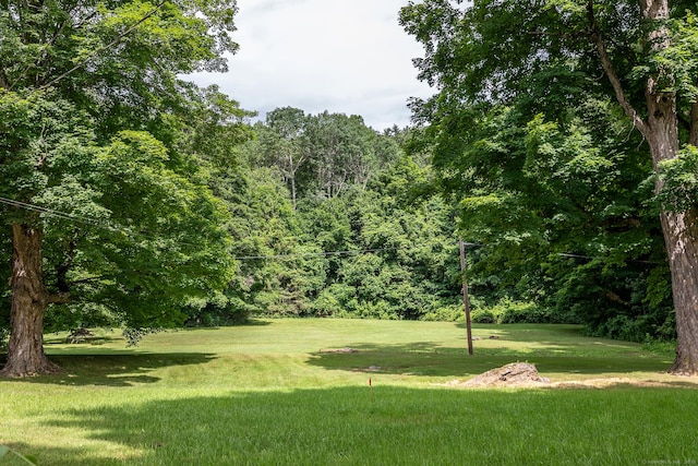 143 White Hollow Rd, Salisbury, CT 06039 - photo 30