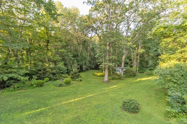 18 Falls Bashan Rd, East Haddam, CT 06469 - photo 21