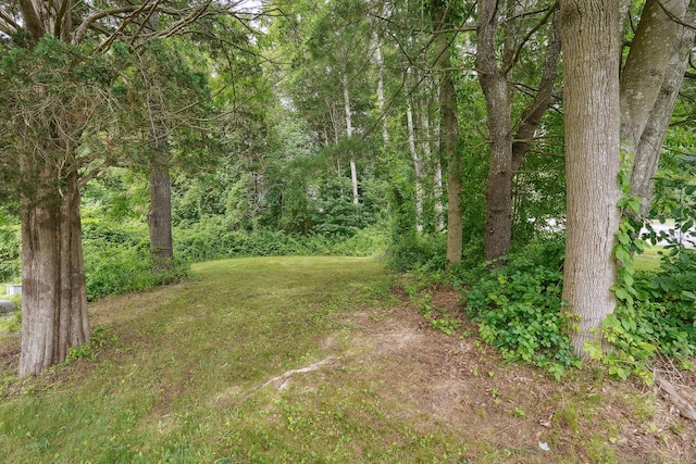 51 Walter Dr, Griswold, CT 06351
