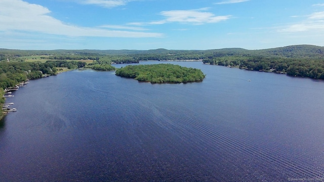 51 Walter Dr, Griswold, CT 06351