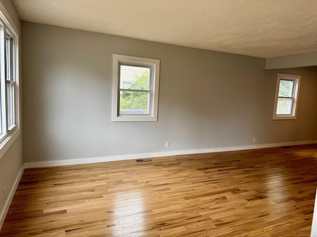 179 Mcgrath Ct, Stratford, CT 06615 - spare room with light wood-type flooring, plenty of natural light, and a textured ceiling