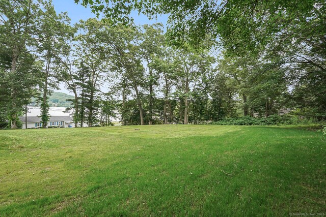 471 Moosup Pond Rd, Plainfield, CT 06354 - view of green lawn