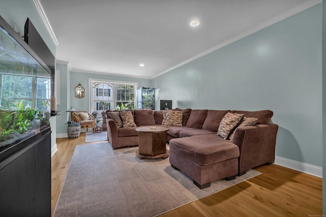 41 Palmer St Unit 20, Norwich, CT 06360 - living area with crown molding, light wood-type flooring, and recessed lighting