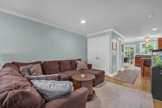 41 Palmer St Unit 20, Norwich, CT 06360 - living room featuring crown molding, light wood-style floors, and recessed lighting
