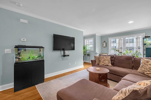 41 Palmer St Unit 20, Norwich, CT 06360 - living room with light wood-type flooring, crown molding, and recessed lighting