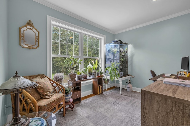 41 Palmer St Unit 20, Norwich, CT 06360 - home office with ornamental molding and baseboards