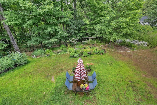 41 Palmer St Unit 20, Norwich, CT 06360 - view of grassy yard featuring a vegetable garden