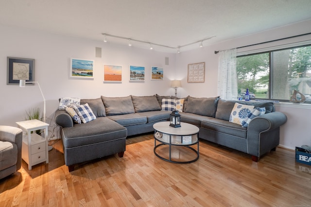 143 Sandy Point Rd Unit 143, Old Saybrook, CT 06475 - living area featuring track lighting and light wood finished floors