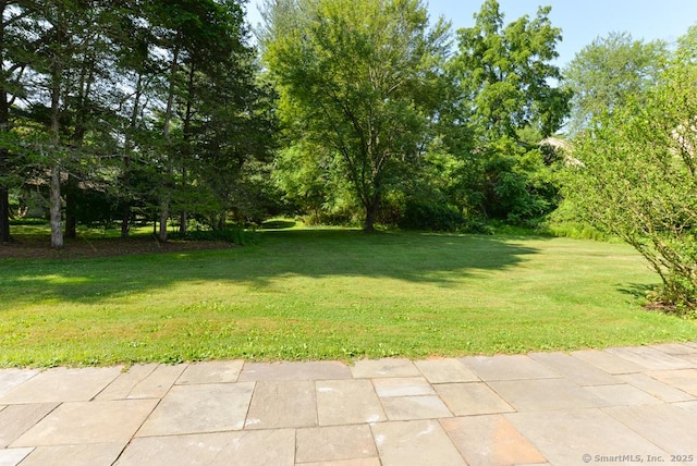 648 Heritage Vlg Unit A, Southbury, CT 06488 - view of grassy yard