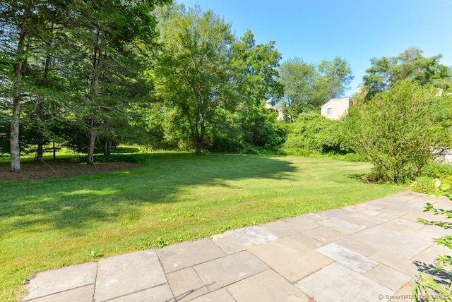 648 Heritage Vlg Unit A, Southbury, CT 06488 - view of green lawn with a patio area