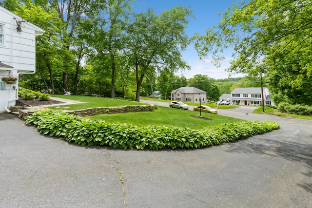 59 Flint Ridge Rd, Monroe, CT 06468 - view of green lawn