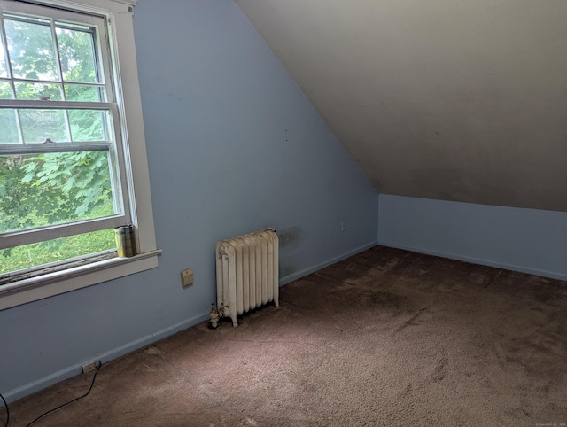 10 Staples St, Danbury, CT 06810 - additional living space featuring radiator, carpet floors, and vaulted ceiling