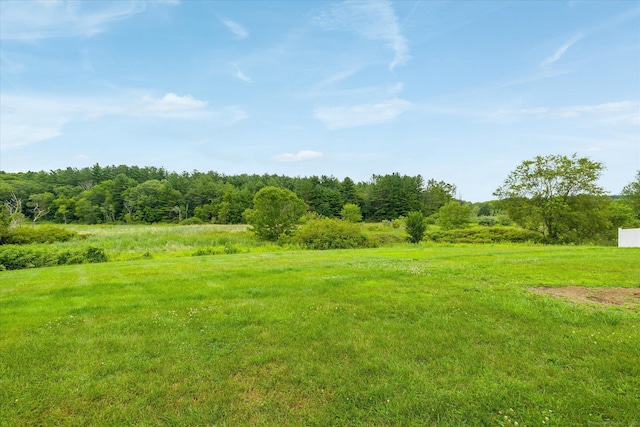 11 Fawn Rdg, Woodstock, CT 06281 - view of yard