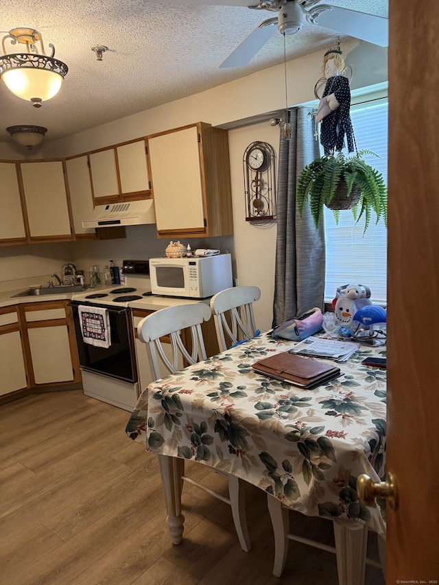531 Meriden Rd Unit 2, Waterbury, CT 06705 - dining space with light wood finished floors, a ceiling fan, and a textured ceiling