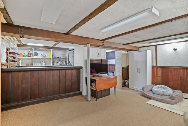 8 Gillies Ln, Norwalk, CT 06854 - bar area featuring light carpet, beamed ceiling, wood walls, a wainscoted wall, and a textured ceiling