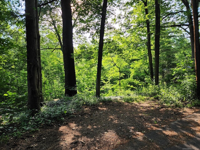 30 Cliff Dr, Avon, CT 06001 - photo 8