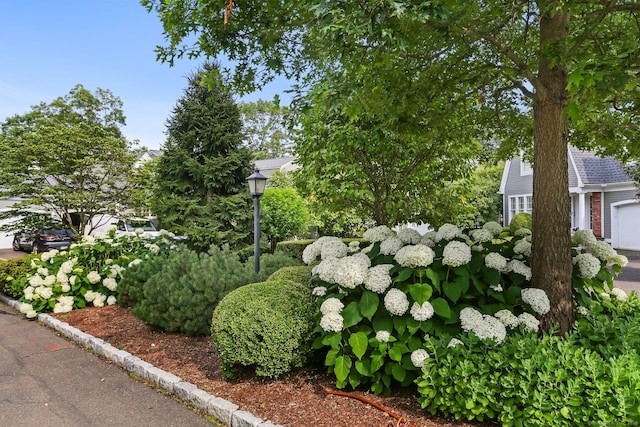 21 Lakeview Ave Unit 21, New Canaan, CT 06840 - view of yard