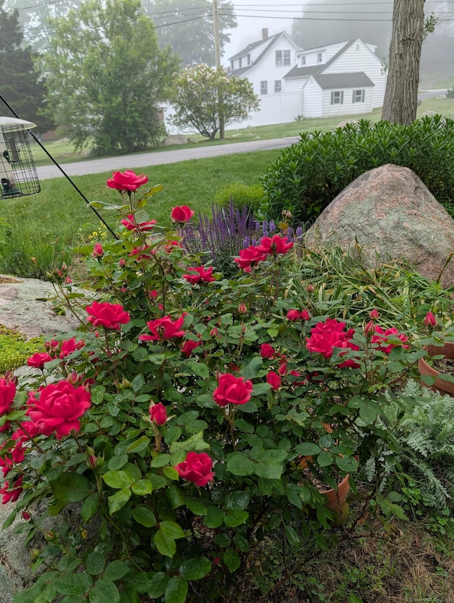 24 Warren Ave, Groton, CT 06355 - view of yard