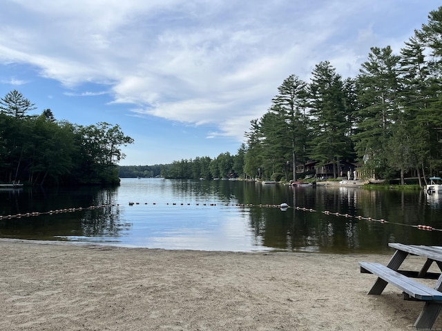 23 Little Bunggee Hill Rd, Woodstock, CT 06282 - water view with a heavily wooded area