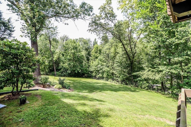 6 Big Buck Ln, Brookfield, CT 06804 - view of yard