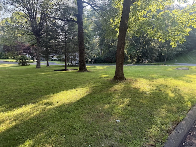 51 Brentley Dr, Shelton, CT 06484 - view of green lawn