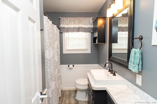24 Dogwood Ln, Shelton, CT 06484 - bathroom featuring vanity, wood finished floors, plenty of natural light, a shower with shower curtain, and wainscoting