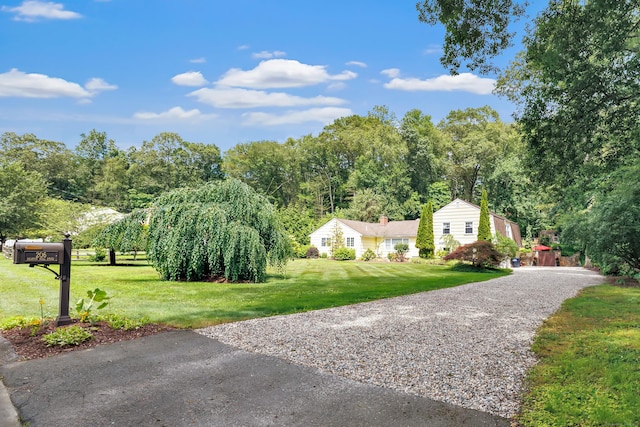 206 Beacon Hill Rd, Trumbull, CT 06611 - view of grassy yard featuring gravel driveway