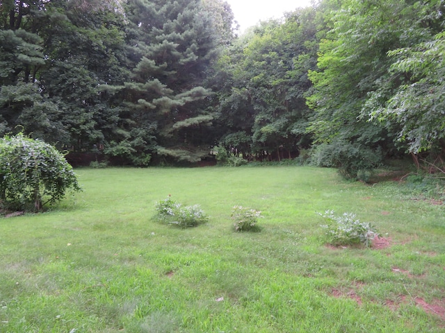 1200 Peck Ln, Cheshire, CT 06410 - view of grassy yard